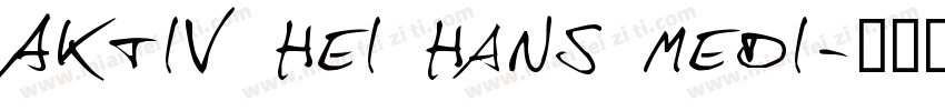 Aktiv Hei Hans Medi字体转换
